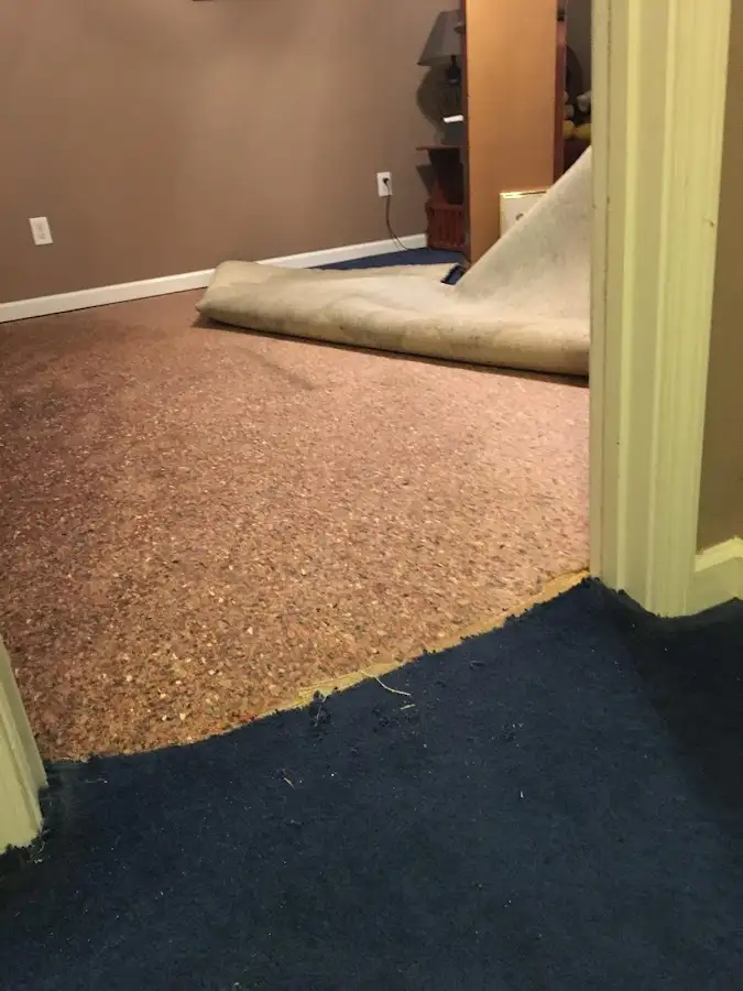 Carpet pad removal revealing water damage during Water Mitigation Services in Bismarck