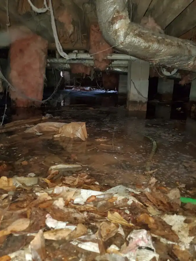 Crawl space flood assessment for Leak Detection & Repair in Bismarck